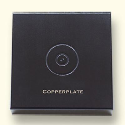 Op het deksel van het kistje is standaard het parlAmore logo aangebracht. Onder dit logo kunt u – als extra – een naam laten graveren.