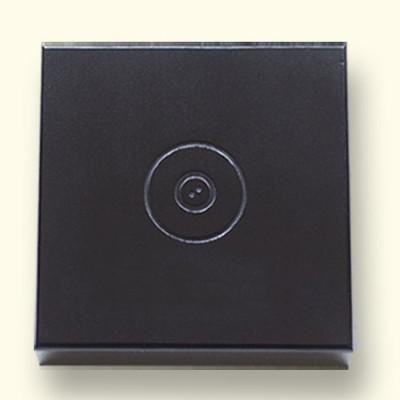 Op het deksel van het kistje is standaard het parlAmore logo aangebracht. Onder dit logo kunt u – als extra – een naam laten graveren.